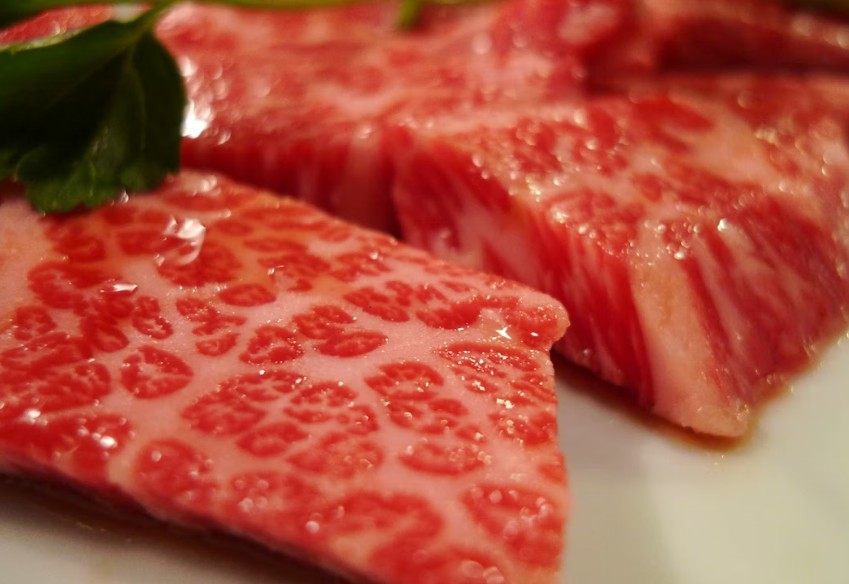 wagyu a5 closeup